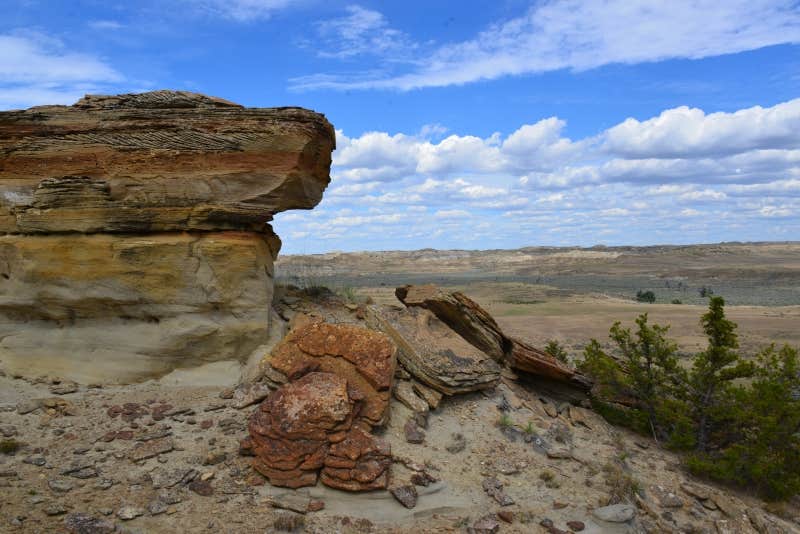 Camper-submitted photo at Nelson Creek - Fort Peck Lake near Jordan, MT