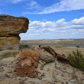 Review photo of Nelson Creek - Fort Peck Lake by Kitty K., May 22, 2018