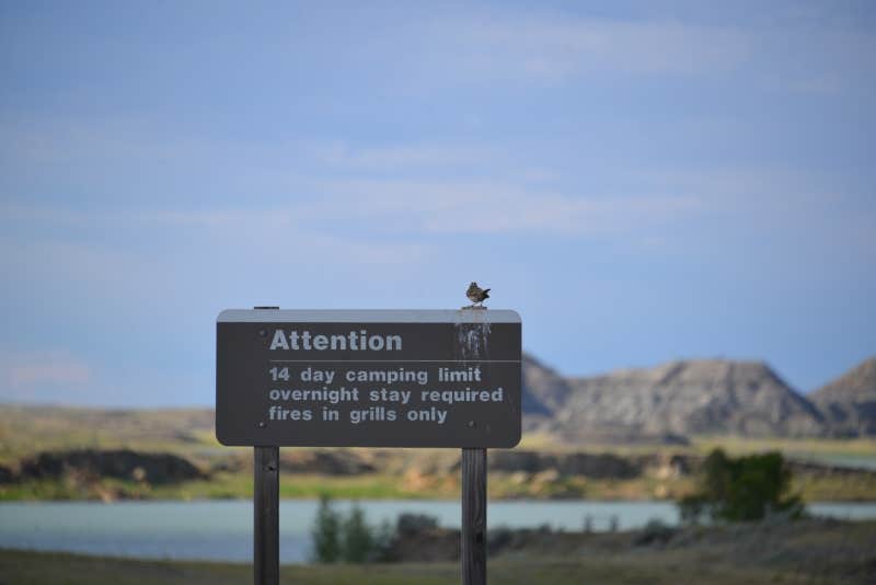 Camper-submitted photo at Nelson Creek - Fort Peck Lake near Jordan, MT