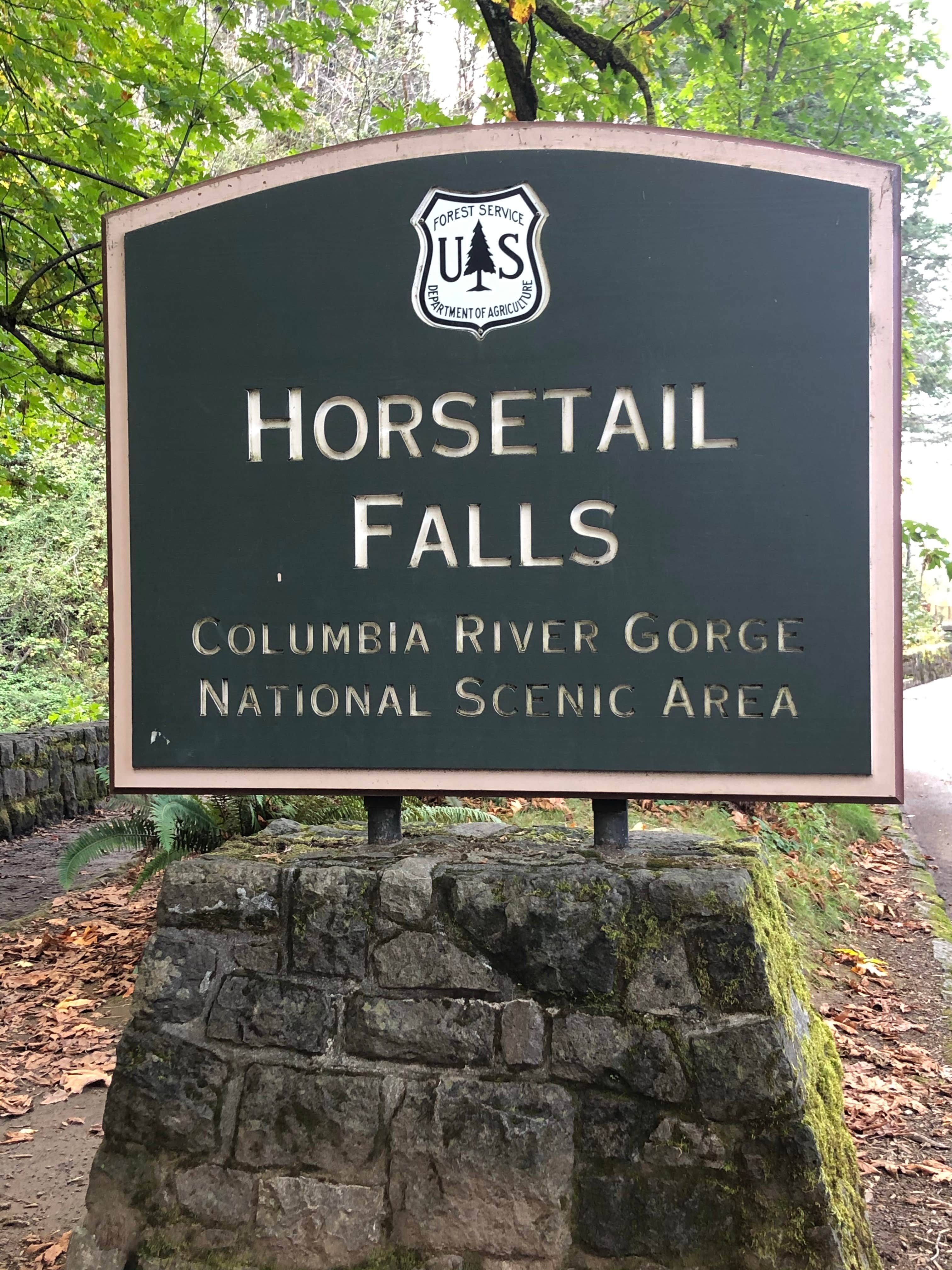 Camper-submitted photo at Ainsworth State Park Campground near Yacolt, WA