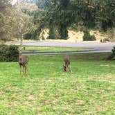Review photo of Fort Stevens State Park Campground by Anne H., October 24, 2020