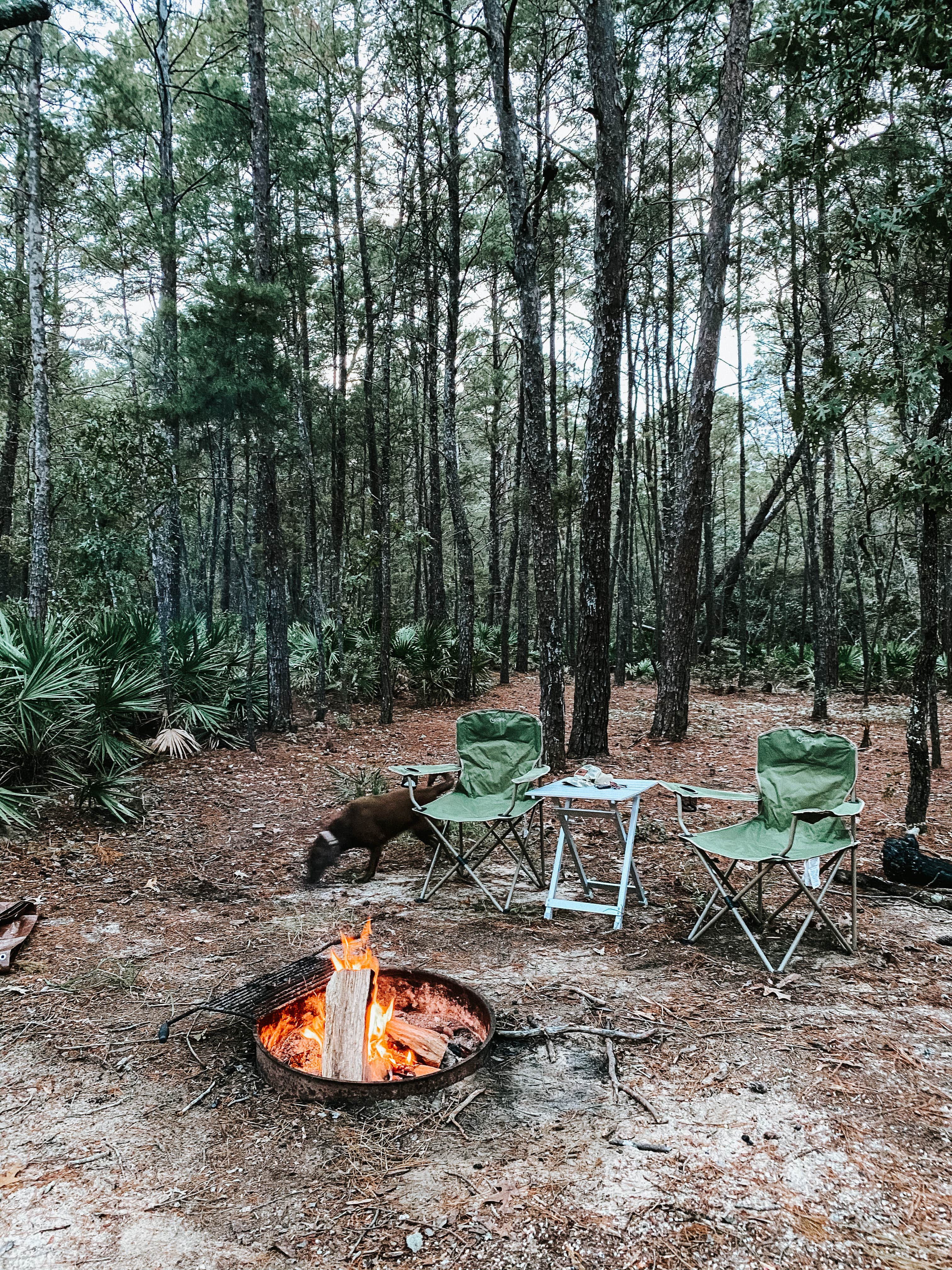 Karen S.'s photo at Eastern Lake Campground 1 — Point Washington State Forest near Panama City Beach, FL