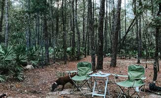 Karen S.'s photo at Eastern Lake Campground 1 — Point Washington State Forest near Panama City, FL
