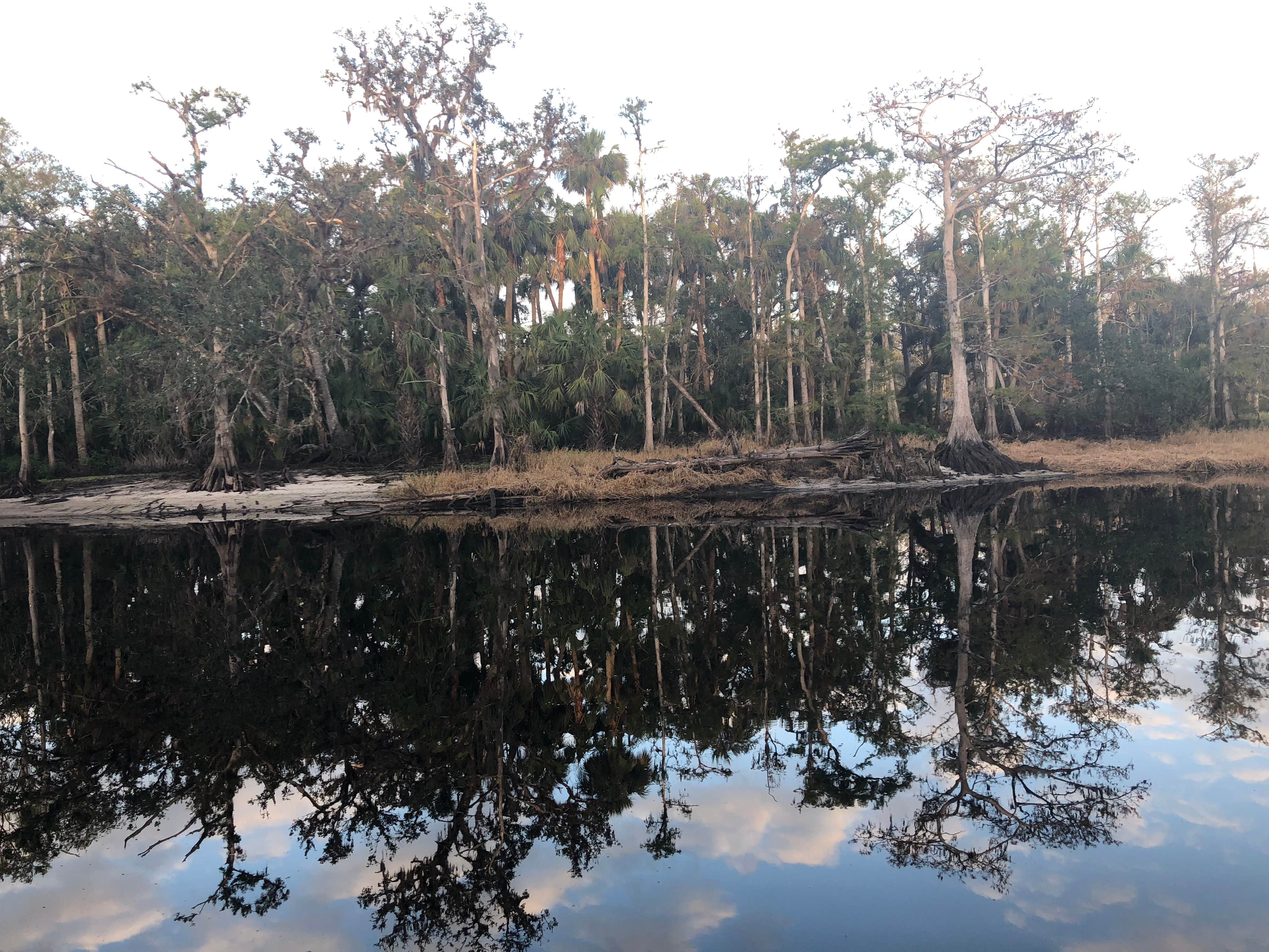 Camper-submitted photo at Fisheating Creek Campground near LaBelle, FL
