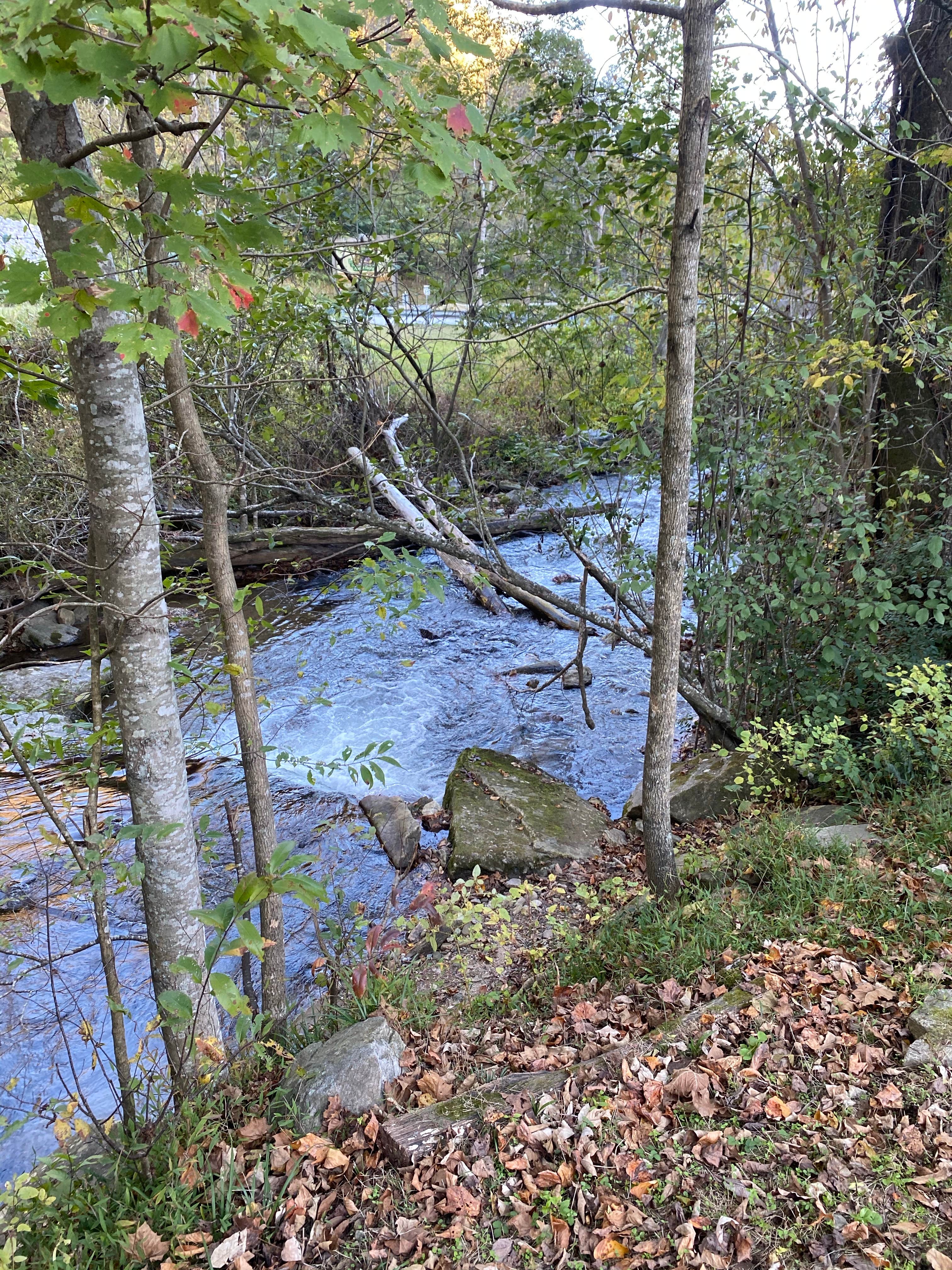 Beautiful creek but road just on the other side