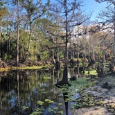 Review photo of Fisheating Creek Campground by Andrea D., May 22, 2018