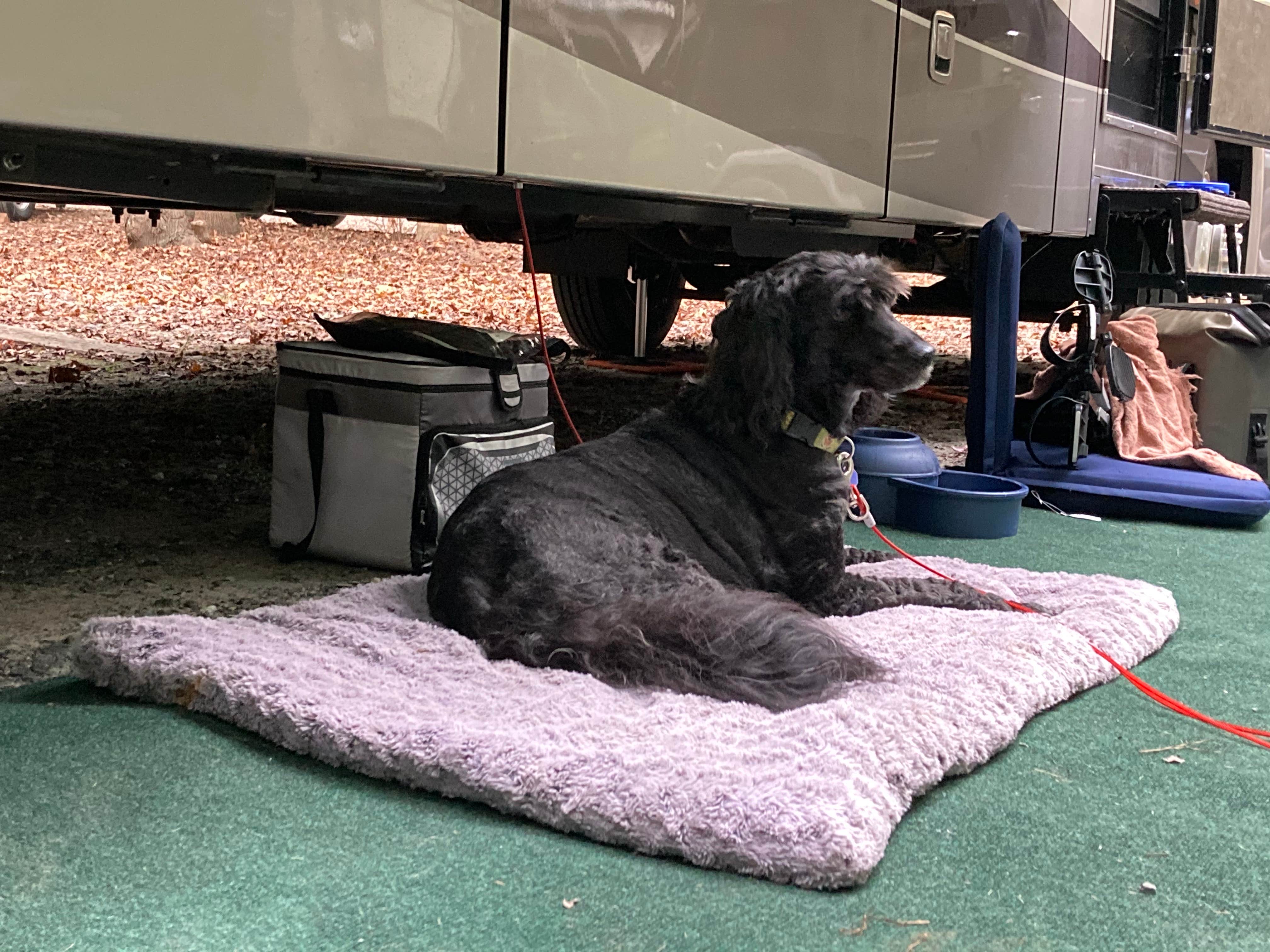 Camper-submitted photo at Ebenezer Park Campground - TEMPORARILY CLOSED near Indian Trail, NC