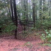 Review photo of Ebenezer Park Campground by Larry M., October 24, 2020