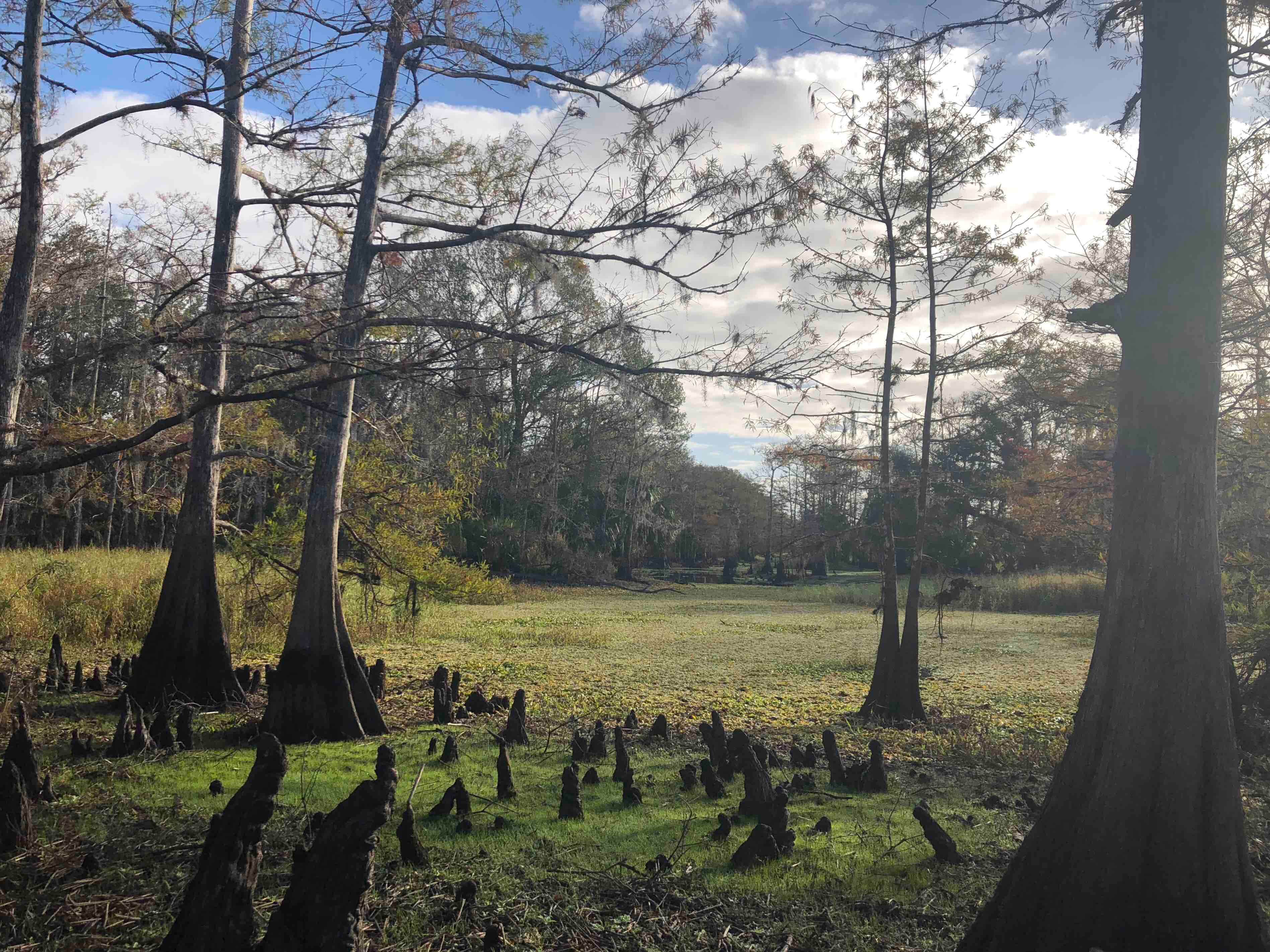 Camper-submitted photo at Fisheating Creek Campground near LaBelle, FL