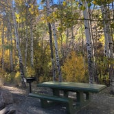 Review photo of Water Canyon Recreation Area by Najet , October 24, 2020
