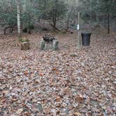 Review photo of Seneca State Forest by Evan G., October 24, 2020