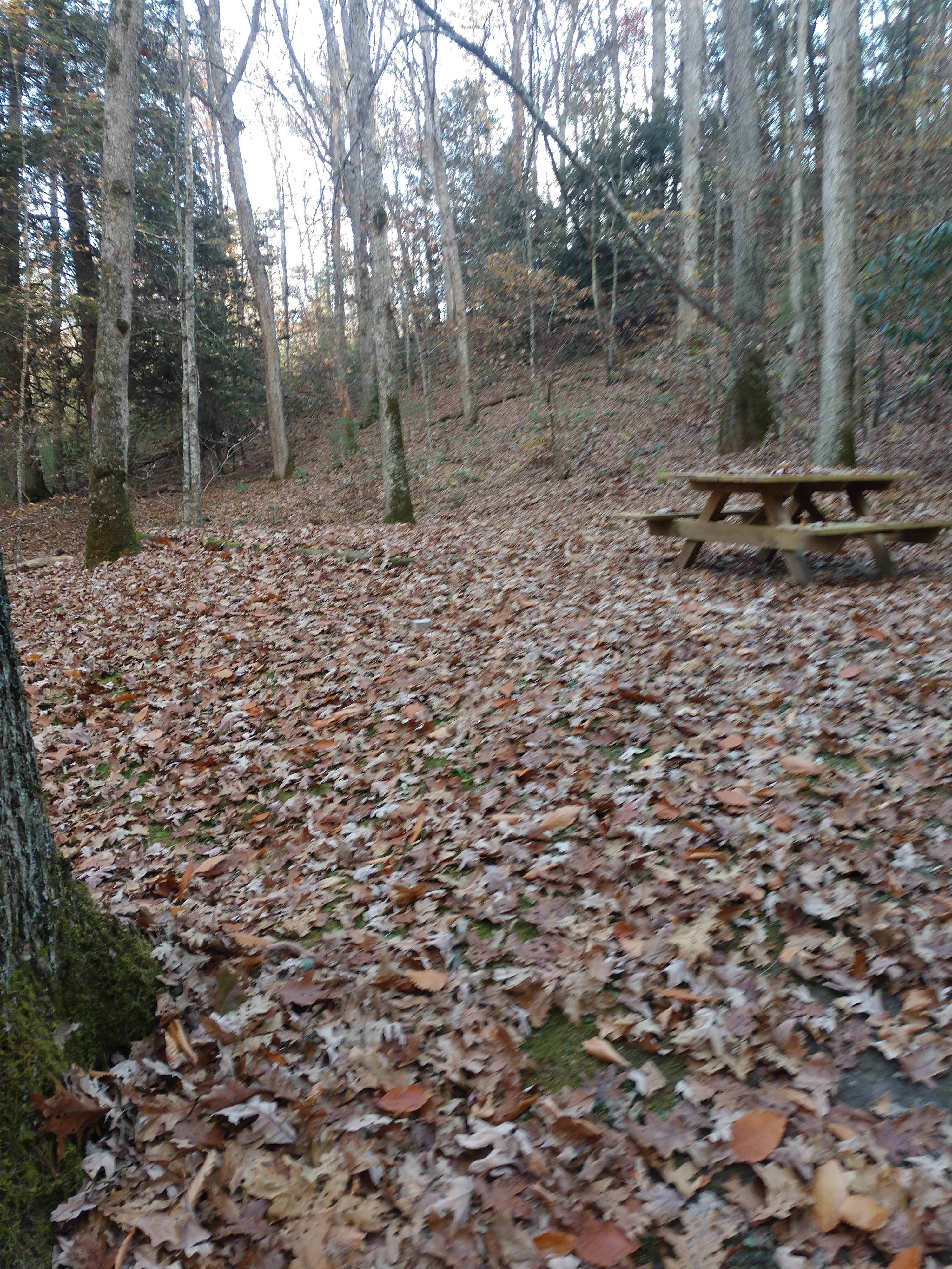 View All