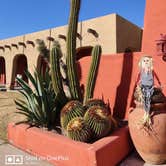 Review photo of Tucson - Lazydays KOA by Donni D., October 24, 2020