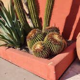 Review photo of Tucson - Lazydays KOA by Donni D., October 24, 2020