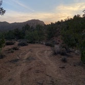 Review photo of Lovell Canyon Dispersed Camping (Spring Mountain) by Diana J., October 24, 2020