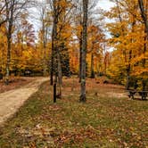 Review photo of Ross Lake State Forest Campground by Shari  G., October 24, 2020