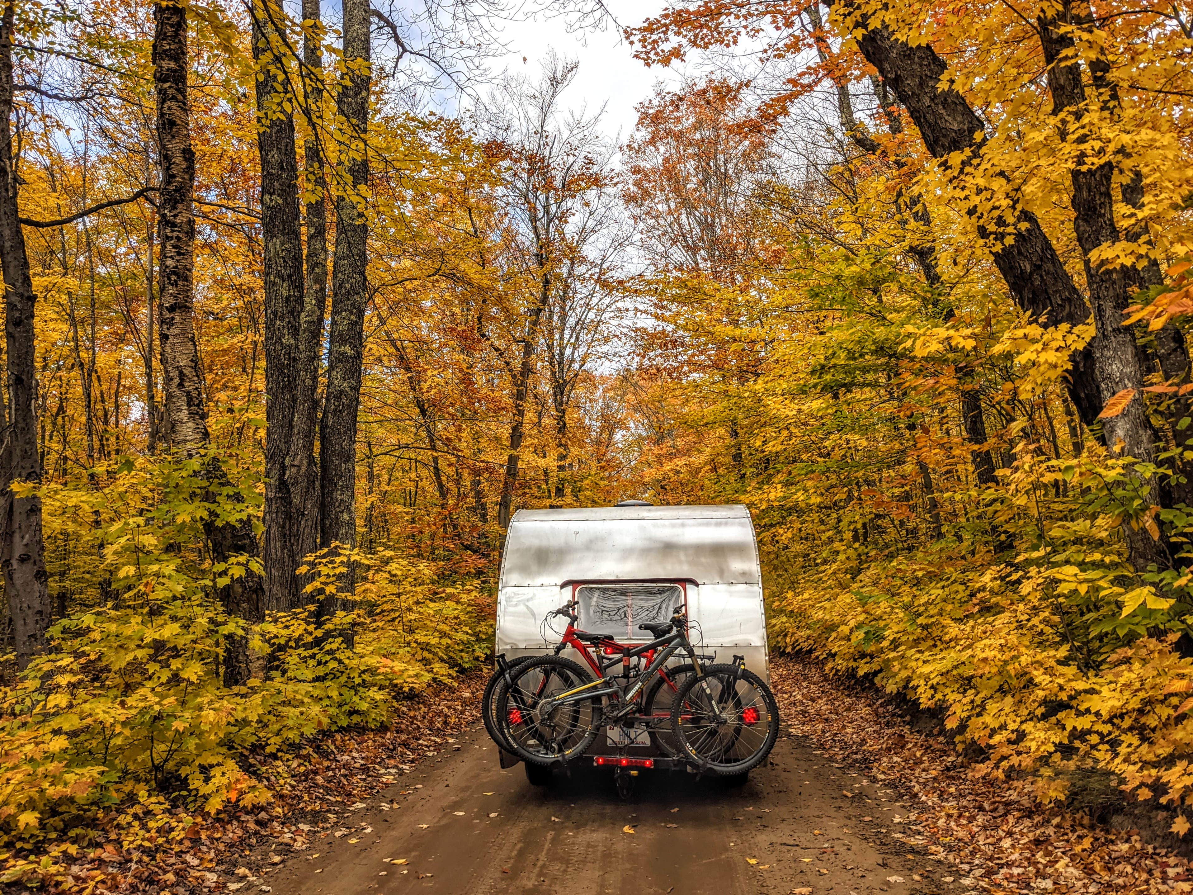 Camper submitted image from Ross Lake State Forest Campground - 5