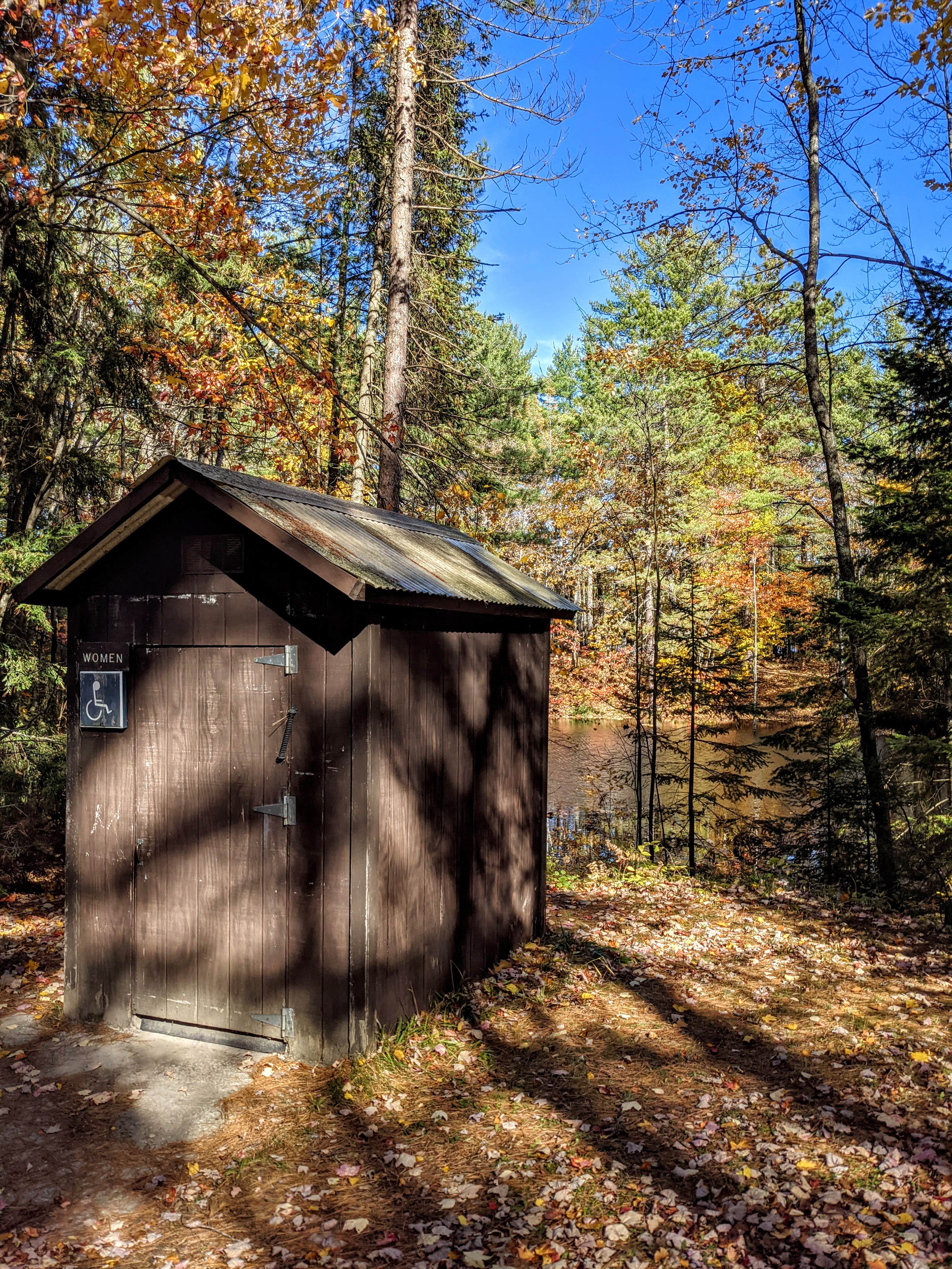 Camper submitted image from Ross Lake State Forest Campground - 3