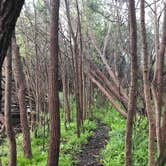 Review photo of Thousand Trails Peace River by Andrea D., May 22, 2018