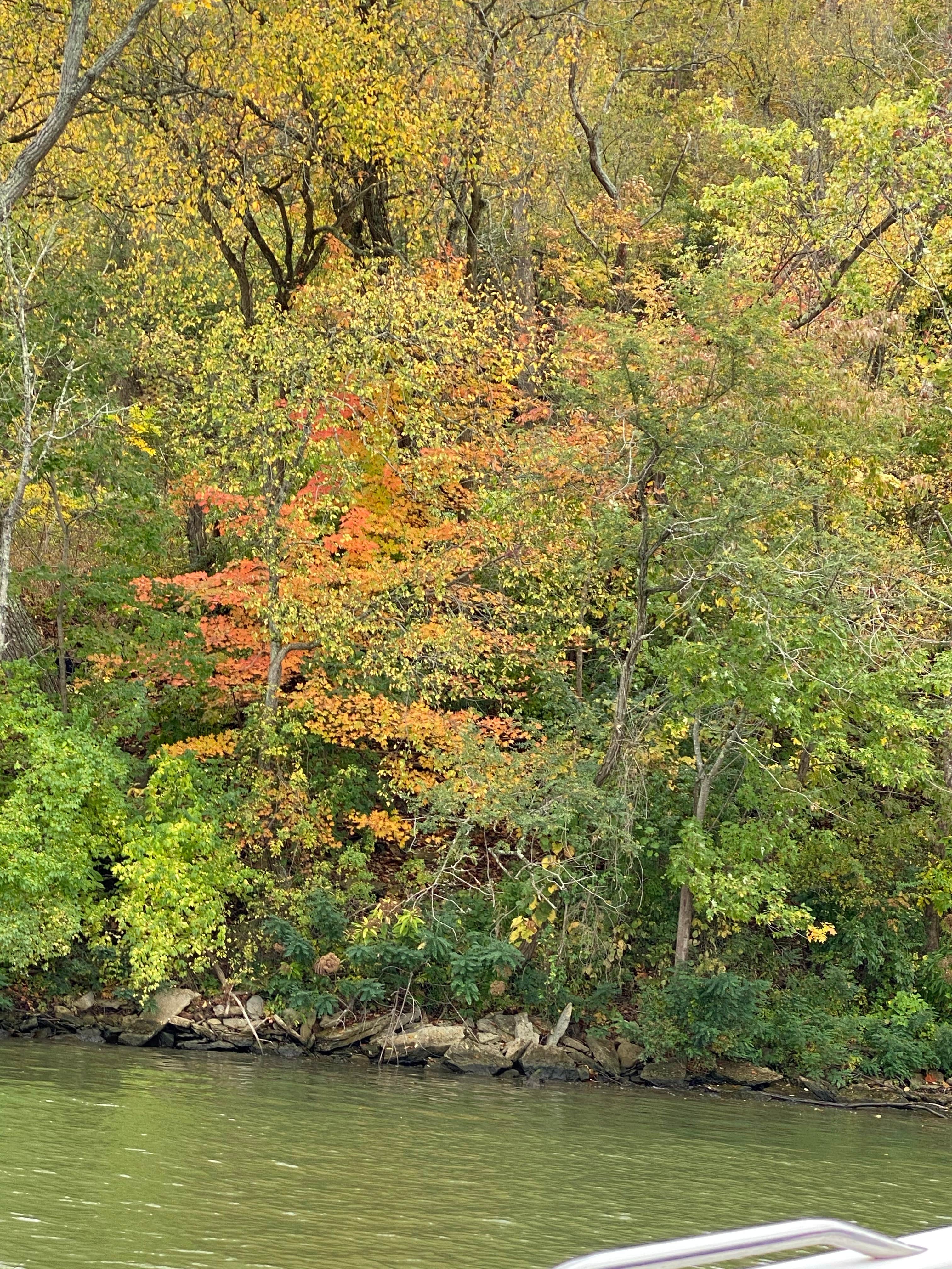 Camper-submitted photo at White Oak Creek Marina & Campground near Maysville, KY