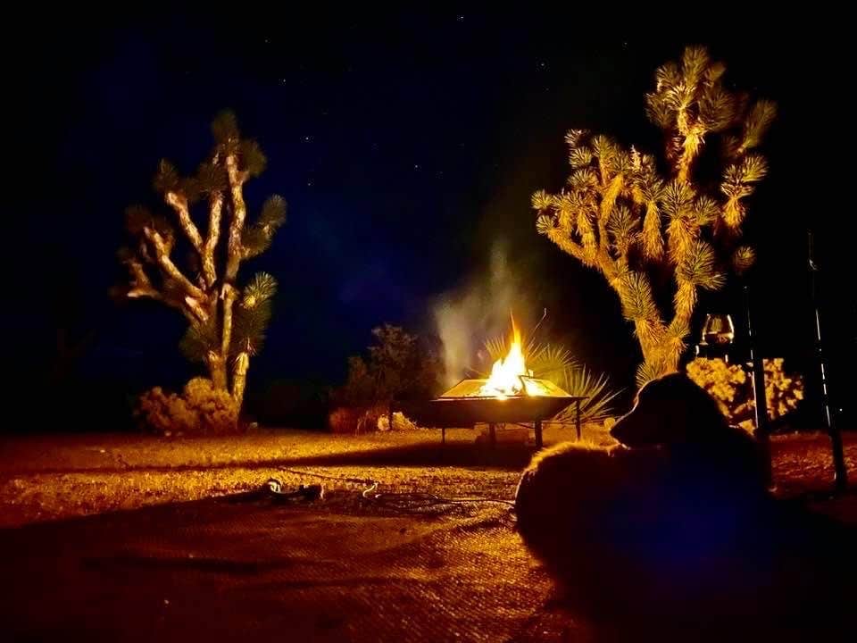 Camper submitted image from Happy Trails Campground & Mini Motel - 4