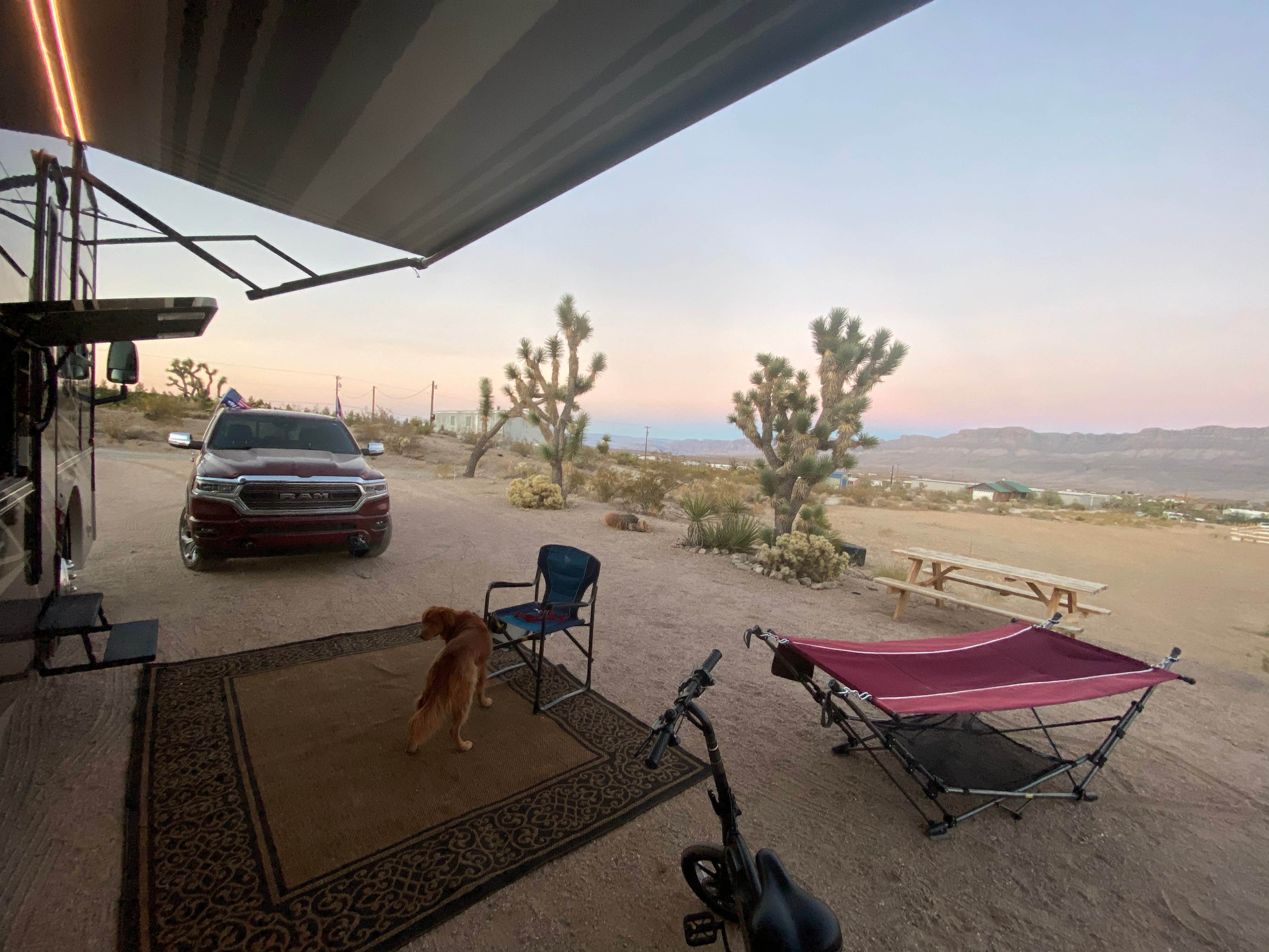Mark B.'s photo of camping with pets at Happy Trails Campground & Mini Motel near Meadview, AZ