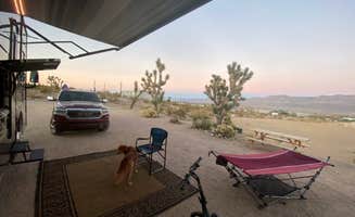 Mark B.'s photo of camping with pets at Happy Trails Campground & Mini Motel near Willow Beach, AZ
