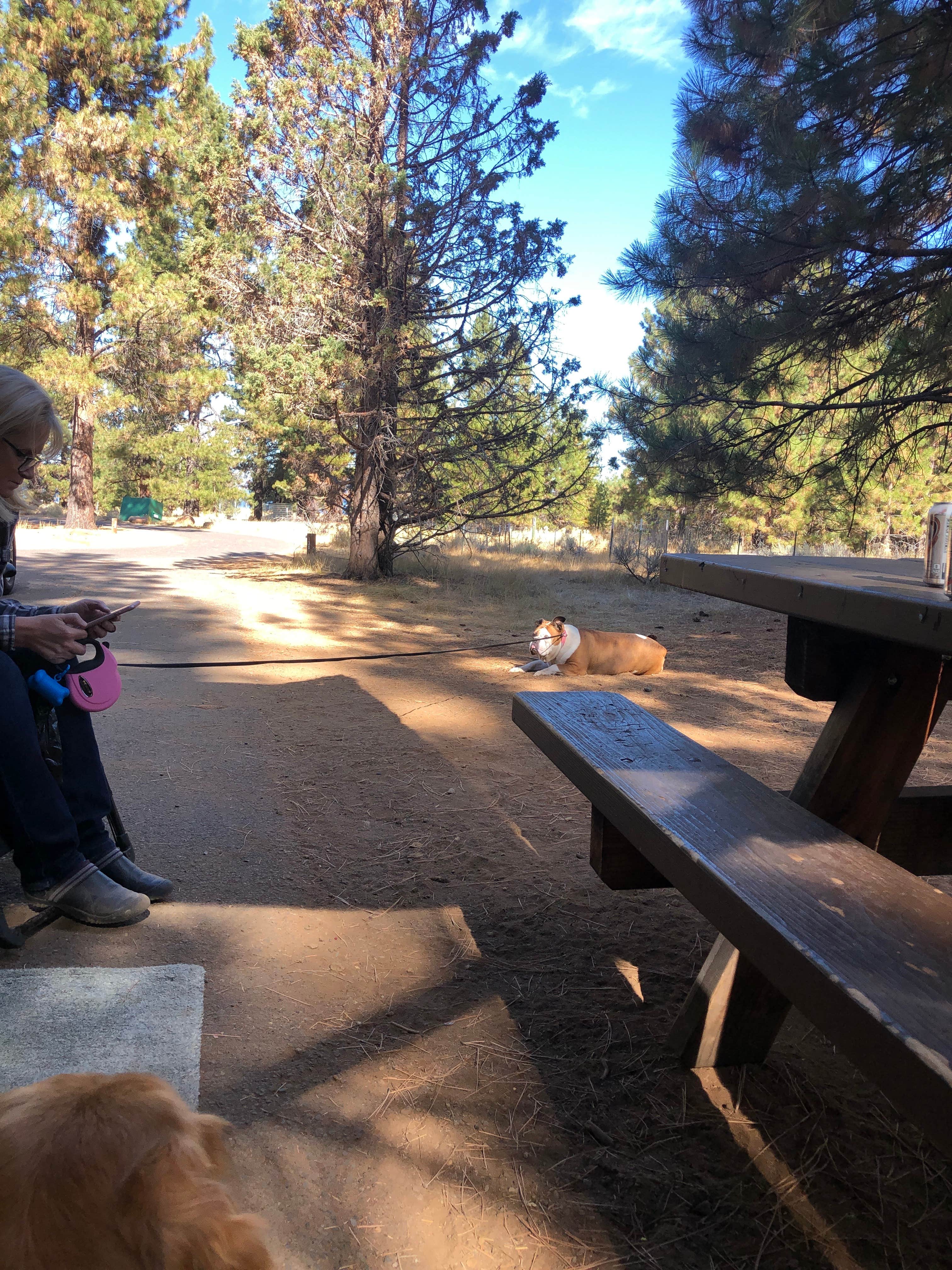 Camper-submitted photo at Merrill Campground near Lassen Volcanic National Park