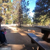 Review photo of Lassen National Forest Merrill Campground by James W., October 24, 2020