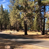 Review photo of Merrill Campground by James W., October 24, 2020