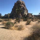 Review photo of Jumbo Rocks Campground — Joshua Tree National Park by Carolyn W., October 24, 2020