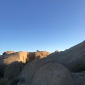 Review photo of Jumbo Rocks Campground — Joshua Tree National Park by Carolyn W., October 24, 2020