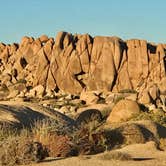 Review photo of Jumbo Rocks Campground — Joshua Tree National Park by Carolyn W., October 24, 2020