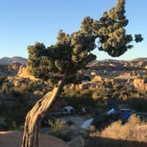 Review photo of Jumbo Rocks Campground — Joshua Tree National Park by Carolyn W., October 24, 2020