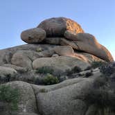 Review photo of Jumbo Rocks Campground — Joshua Tree National Park by Carolyn W., October 24, 2020