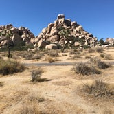 Review photo of Jumbo Rocks Campground — Joshua Tree National Park by Carolyn W., October 24, 2020