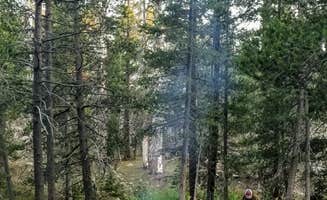 Julie D.'s photo at Bloomfield Campground near Wellington, NV