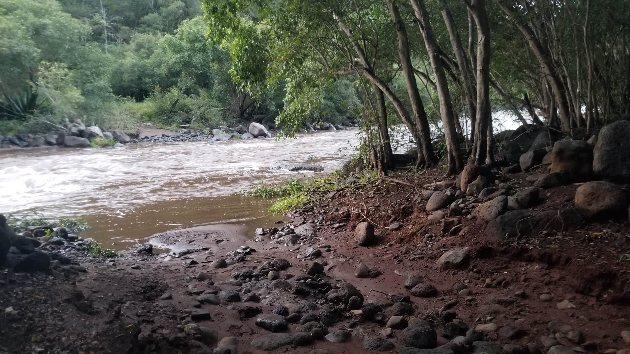 Camping near Lydgate State Park Campground: Wiliwili Camp, Kapa‘a, Hawaii