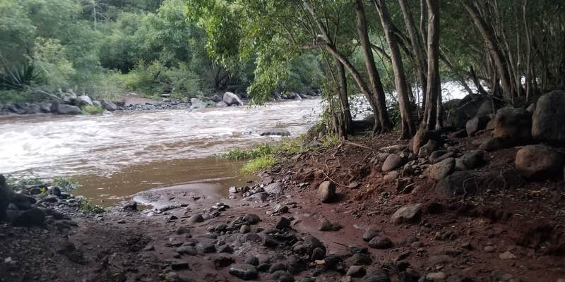 Camper submitted image from Wiliwili Camp