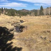 Review photo of Yankee Designated Dispersed Camping Area by Caleb C., October 25, 2020