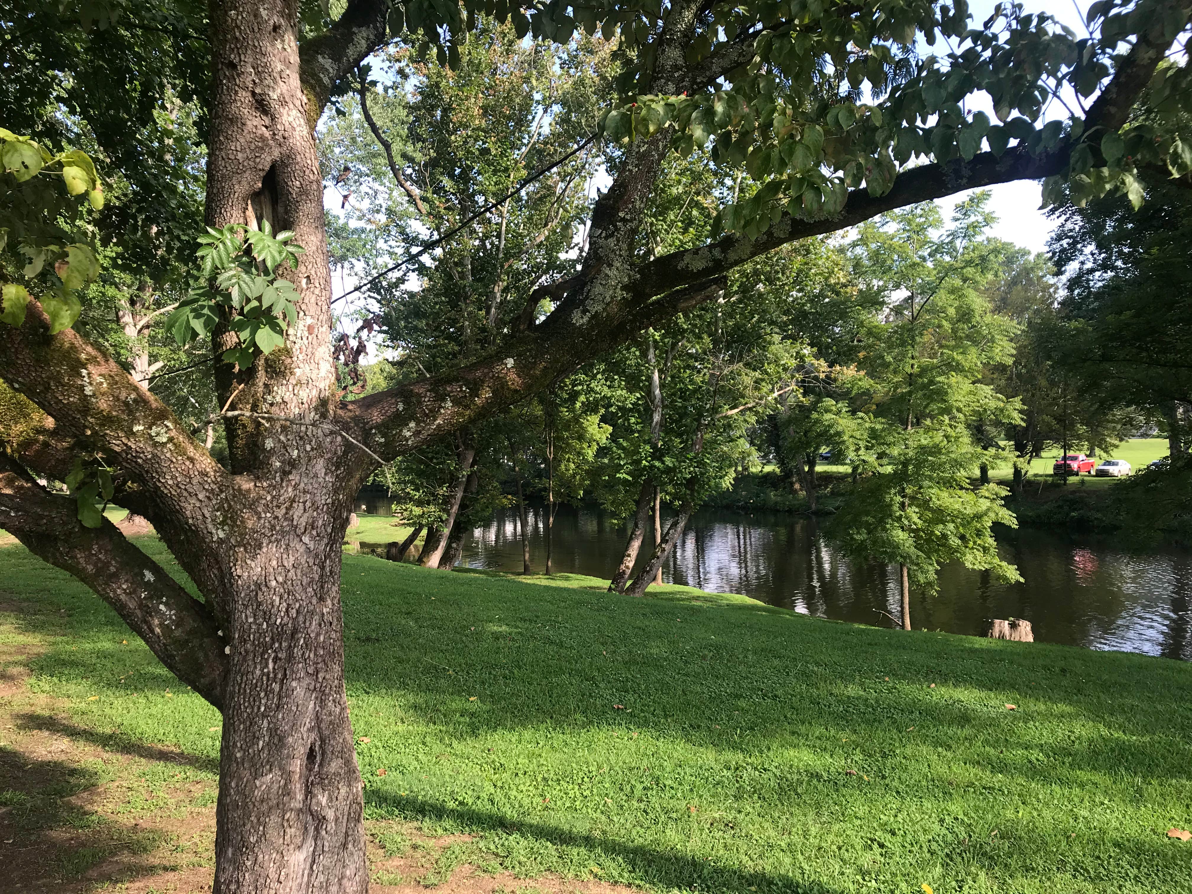 Camping near Bote Mountain Campsite 18 — Great Smoky Mountains National Park: Primitive Camping on Little River, Townsend, Tennessee