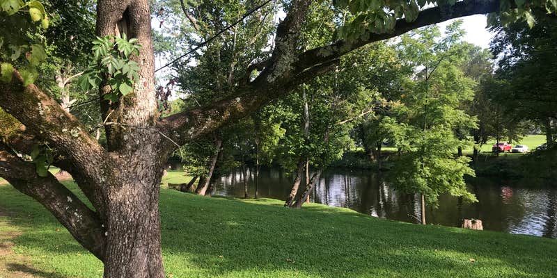 Camper submitted image from Primitive Camping on Little River