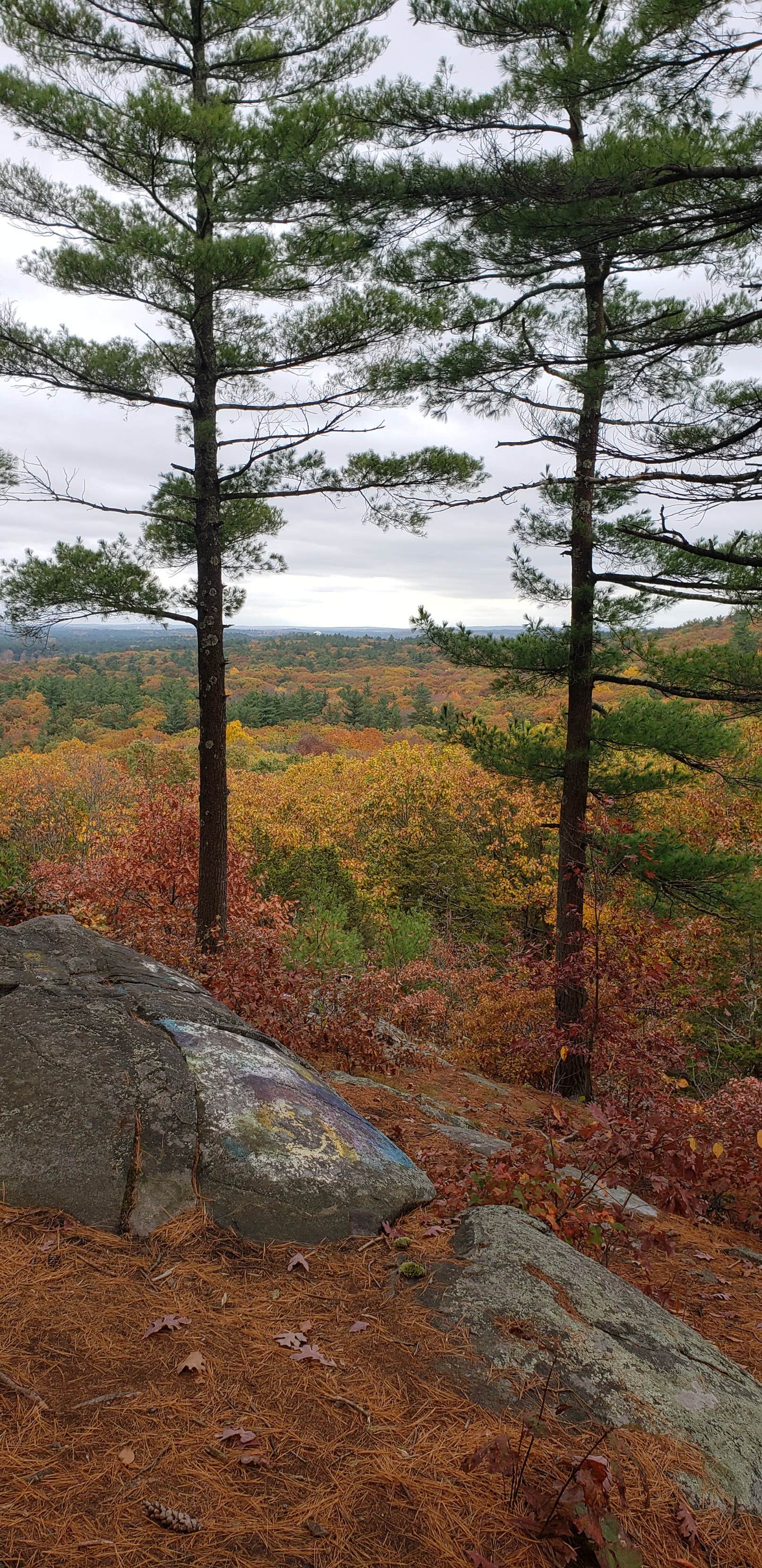 Camper submitted image from Rocky Woods Reservation - Permanently Closed - 4