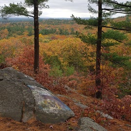 Cedar Hill view in autumn