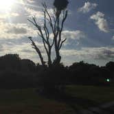 Review photo of Flamingo Campground — Everglades National Park by Andrea D., May 22, 2018