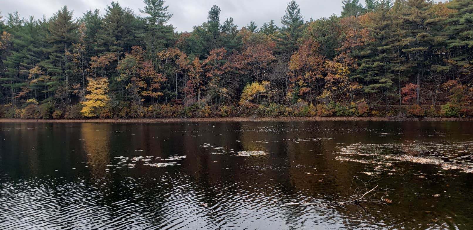 Camper submitted image from Rocky Woods Reservation - Permanently Closed - 2