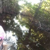 Review photo of Flamingo Campground — Everglades National Park by Andrea D., May 22, 2018