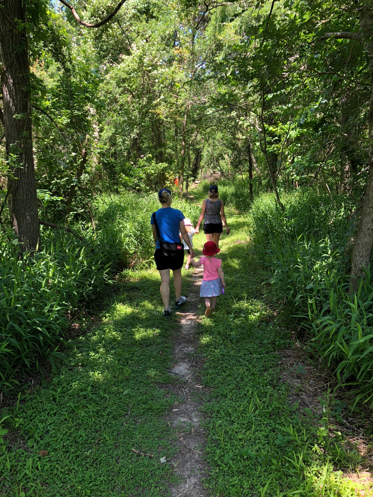 Camper submitted image from Jacales Camping Area — Goliad State Park - 5
