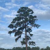 Review photo of Kolomoki Mounds State Park Campground by Phil K., October 25, 2020