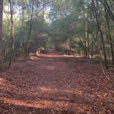 Review photo of Kolomoki Mounds State Park Campground by Phil K., October 25, 2020